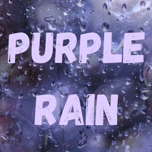 Purple Rain