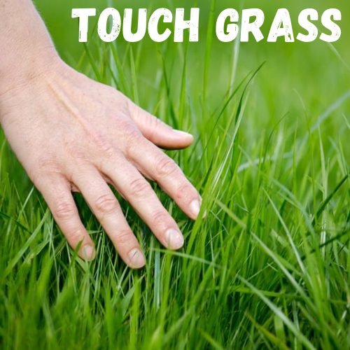 Touch Grass