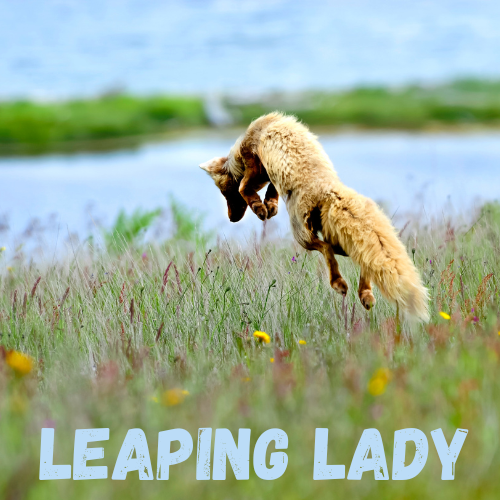 Leaping Lady