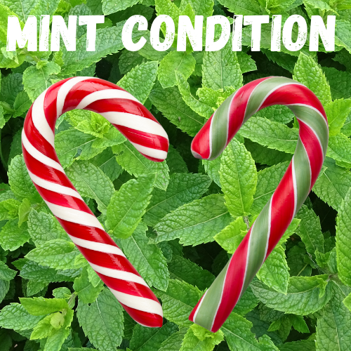Mint Condition