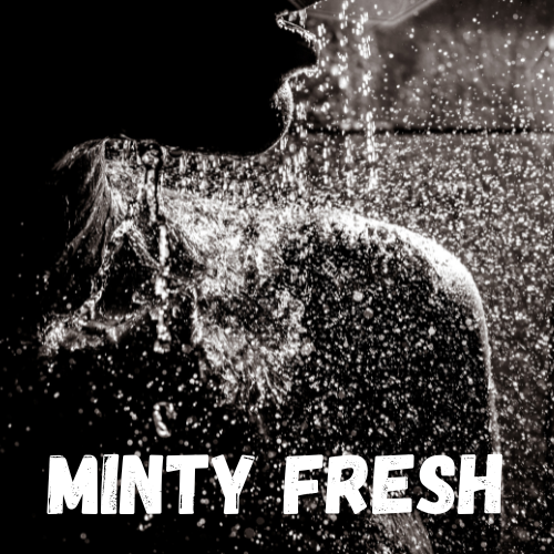 Minty Fresh