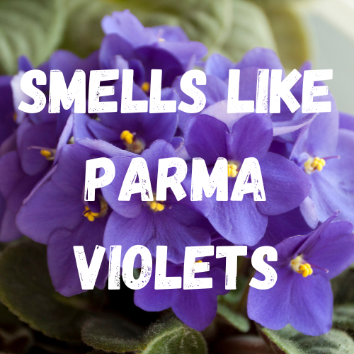 Bloom Where You're Planted