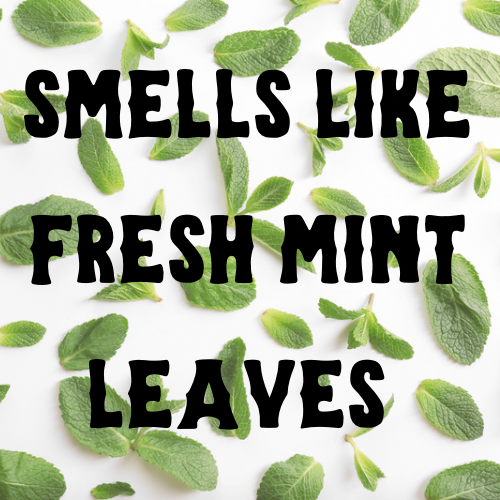 Minty Fresh