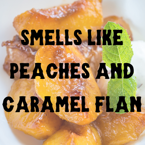 The Teaches of Peaches