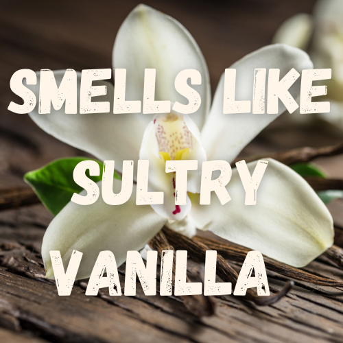 Vanilla Bella