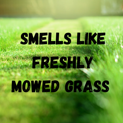 Touch Grass