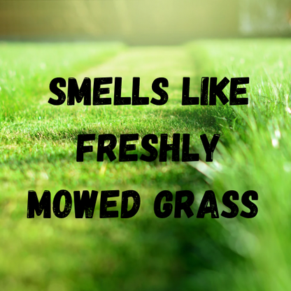 Touch Grass
