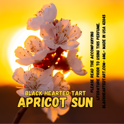 Apricot Sun