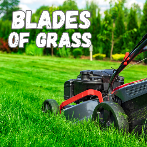 Blades of Grass