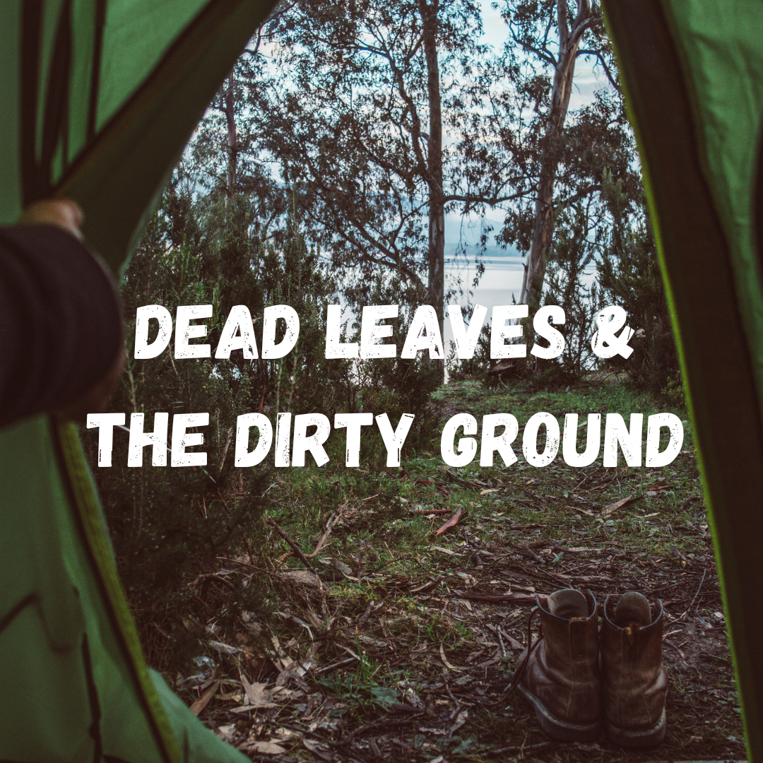 Dead Leaves & the Dirty Ground