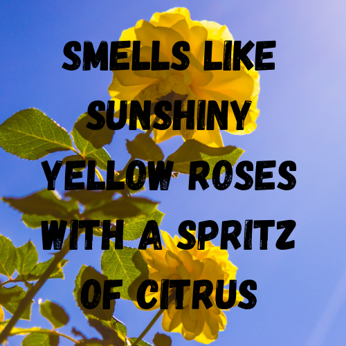 Yellow Roses