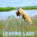 Leaping Lady