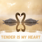 Tender is My Heart