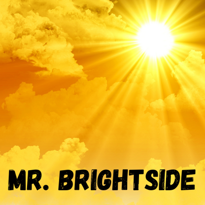 Mr. Brightside