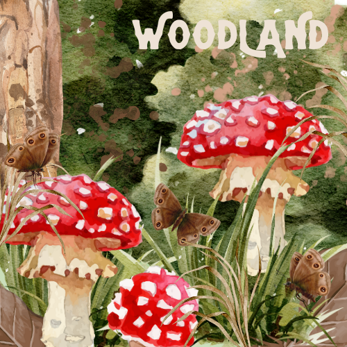 Woodland