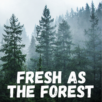 Fresh as the Forest