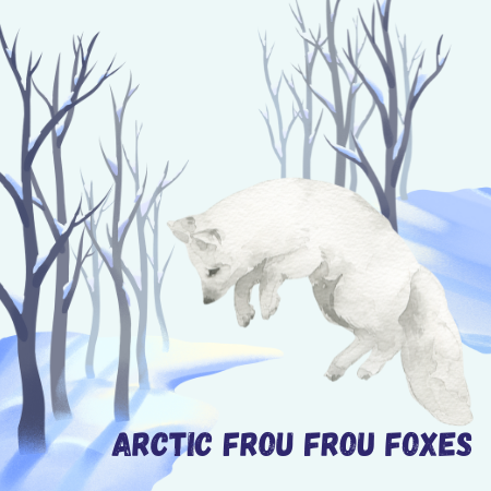 Arctic Frou Frou Foxes
