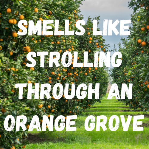 Holy Neroli