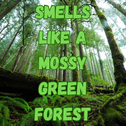 Forest Folk
