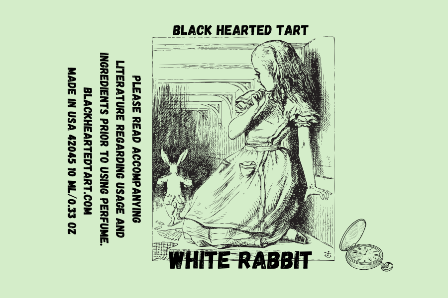 White Rabbit