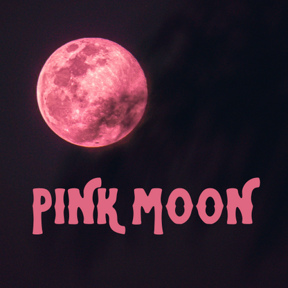 Pink Moon