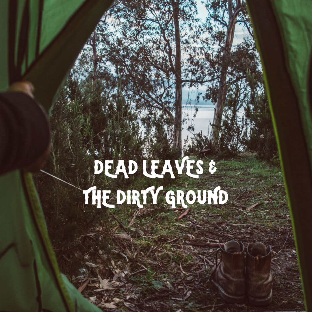 Dead Leaves & the Dirty Ground