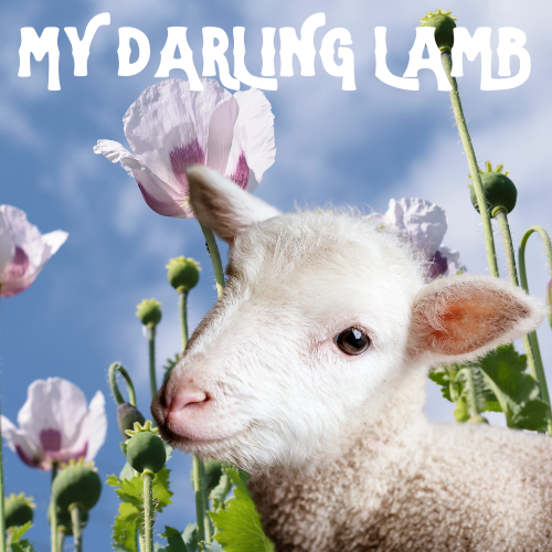 My Darling Lamb