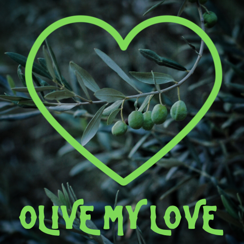 Olive My Love